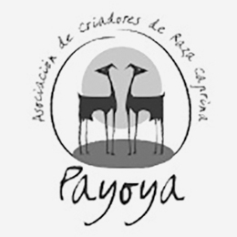 Gocadiz-Payoya